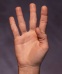 Hand 4