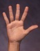 Hand 5